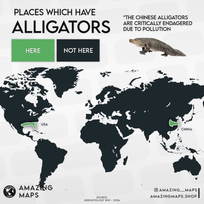 Map Infographics by Amazing Maps