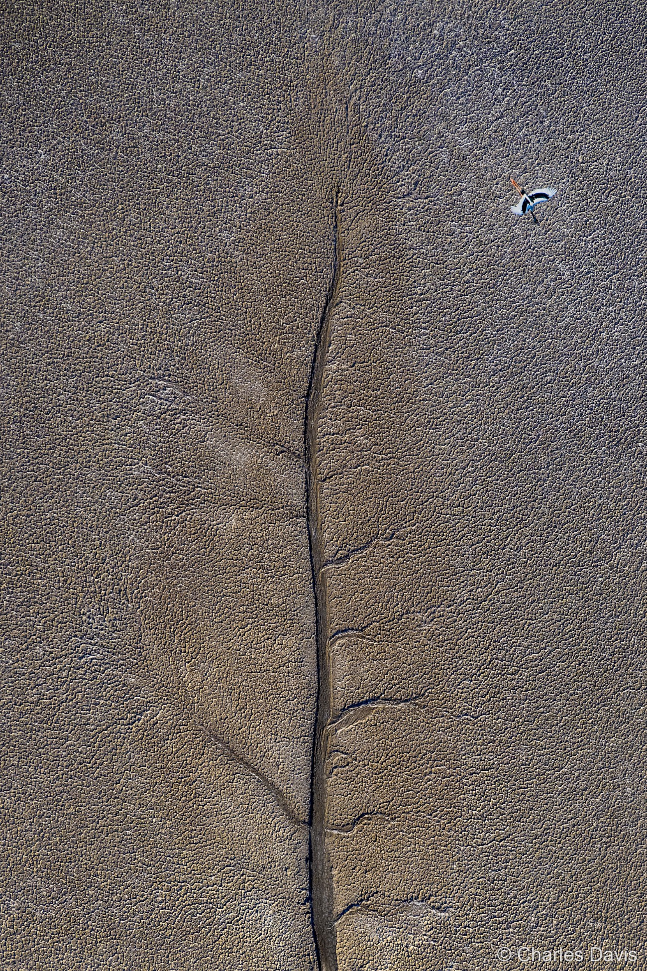 Aerial photo over mudflats
