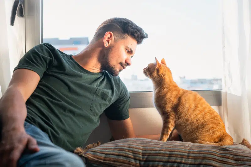 Man staring lovingly at cat