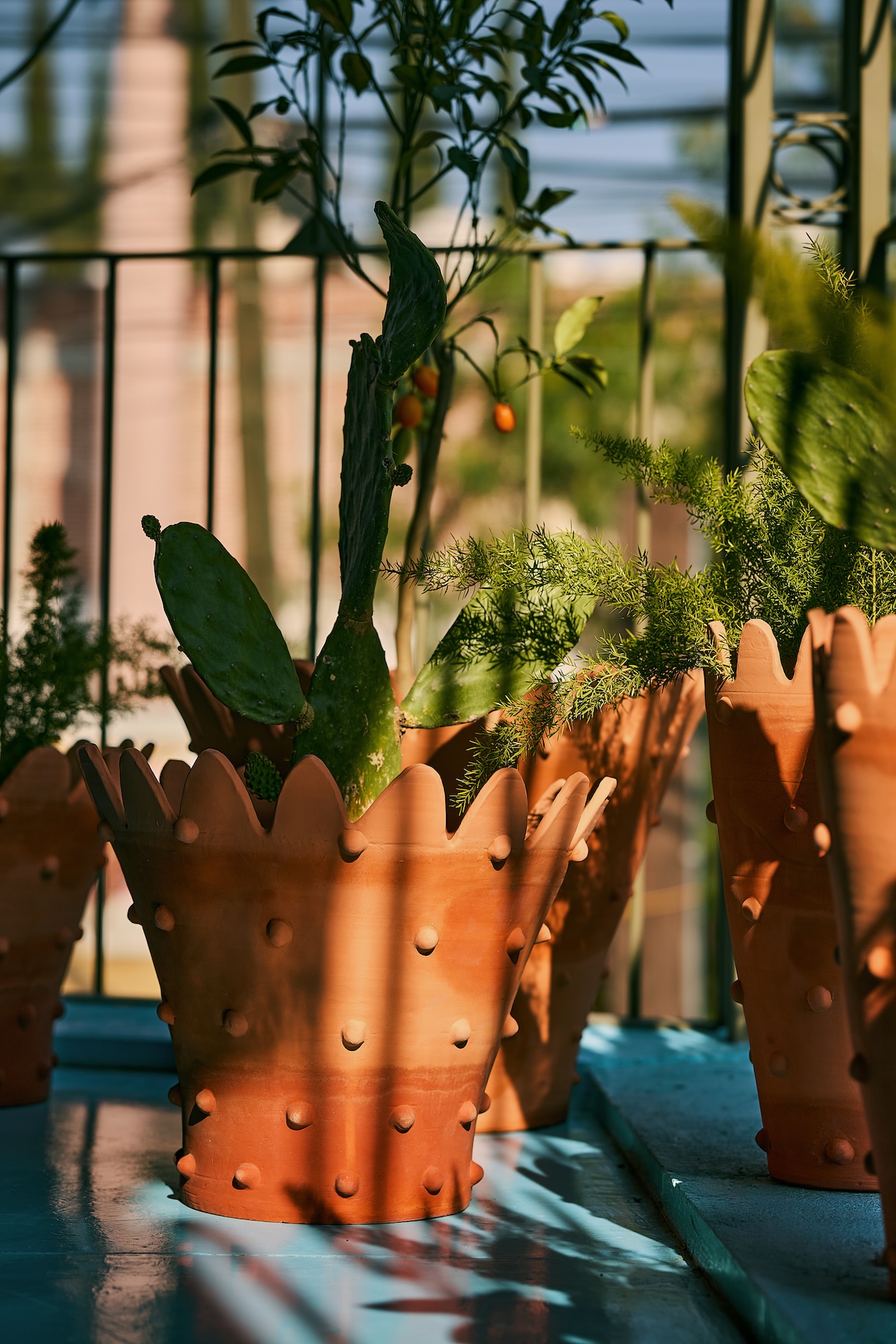 Suite de Mesonia en México