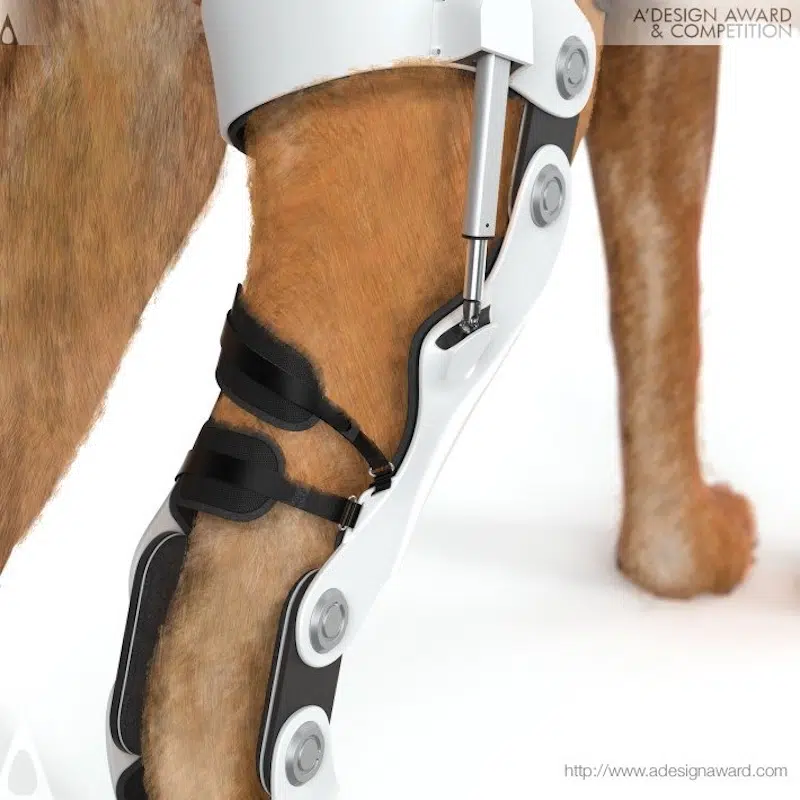 dog leg with repaws tech