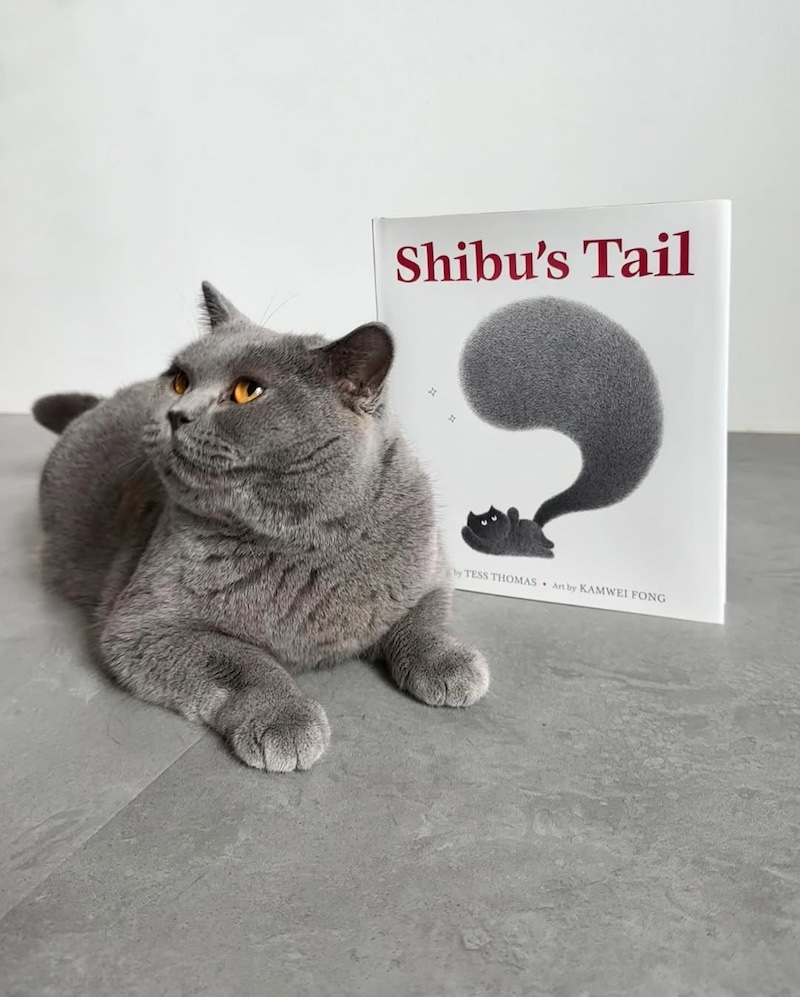 Shibu's Tail Book by Tess Thomas and Kamwei Fong