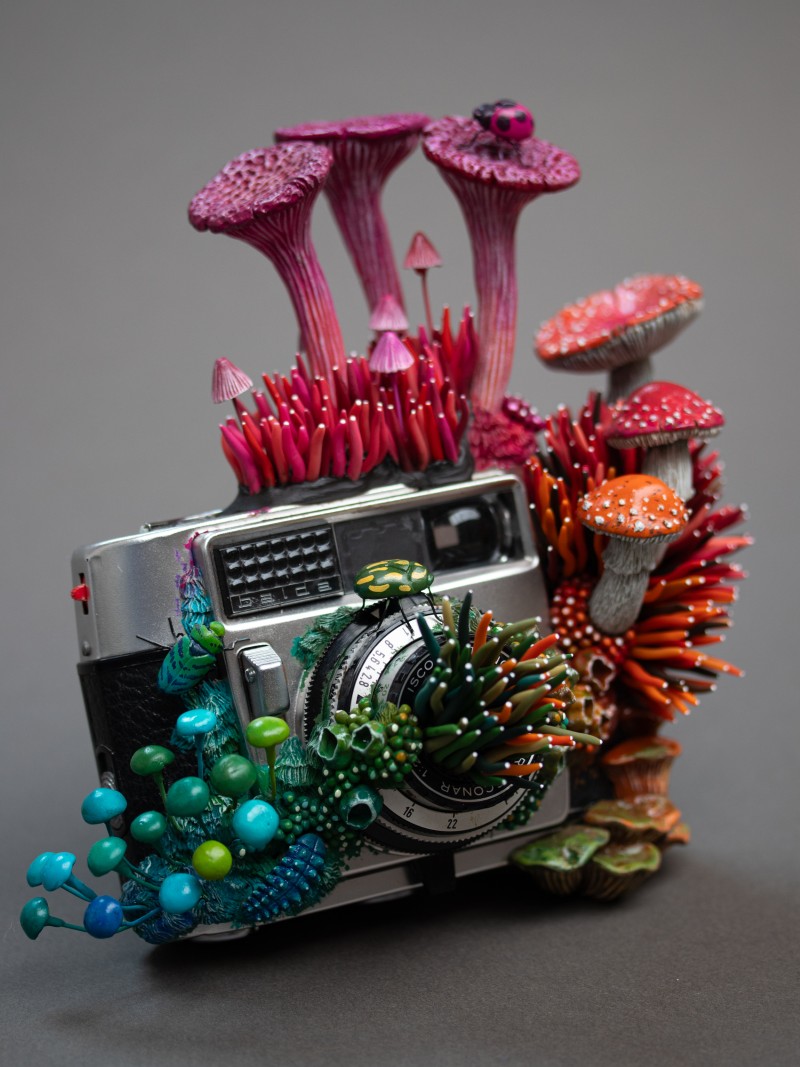 Utopia by Stephanie Kilgast