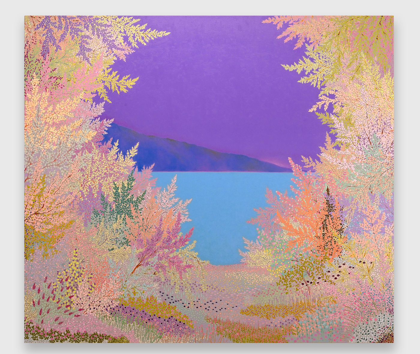 Sun Sundry Beguiles Wild Exhibition by John McAllister