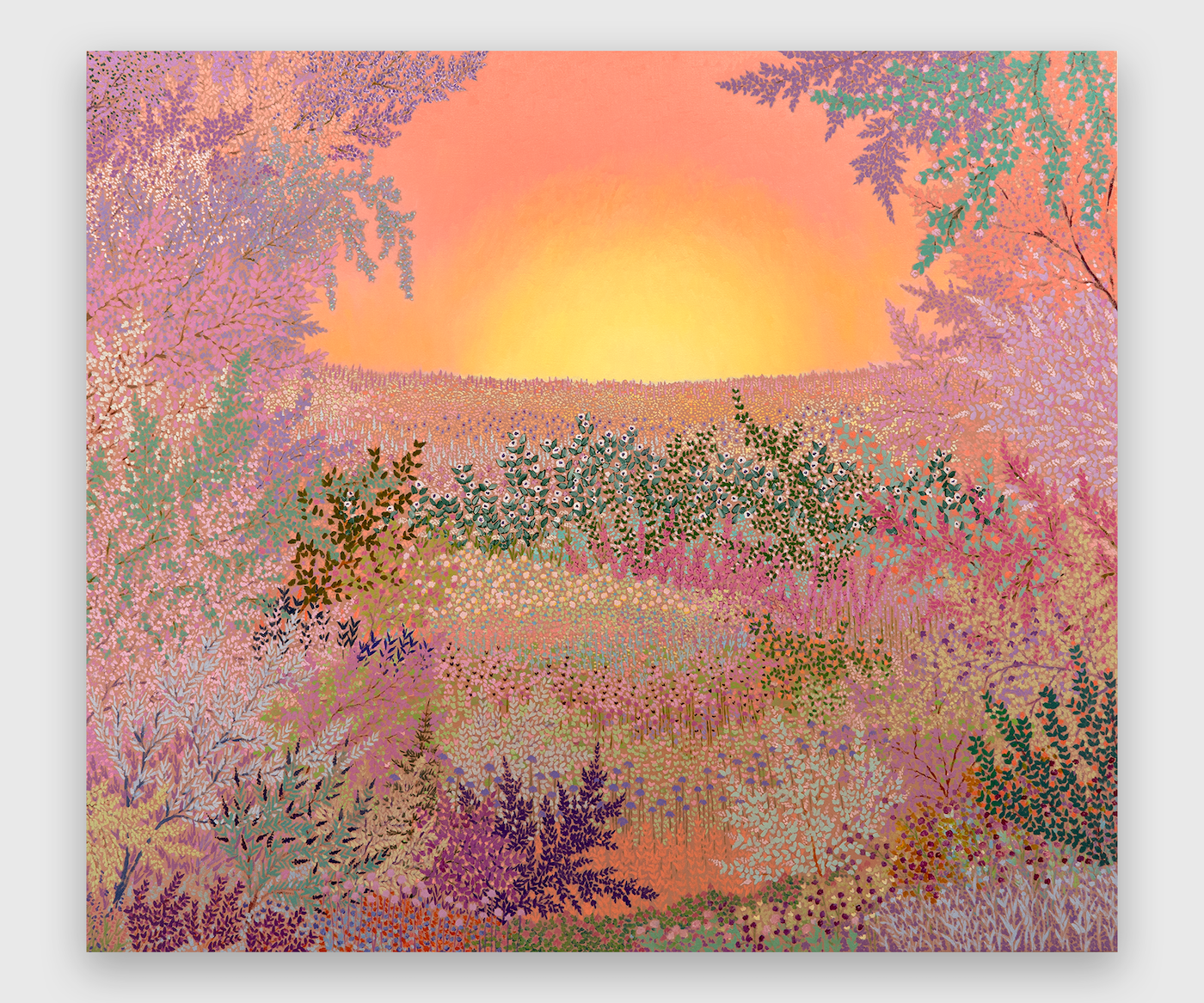 Sun Sundry Beguiles Wild Exhibition by John McAllister