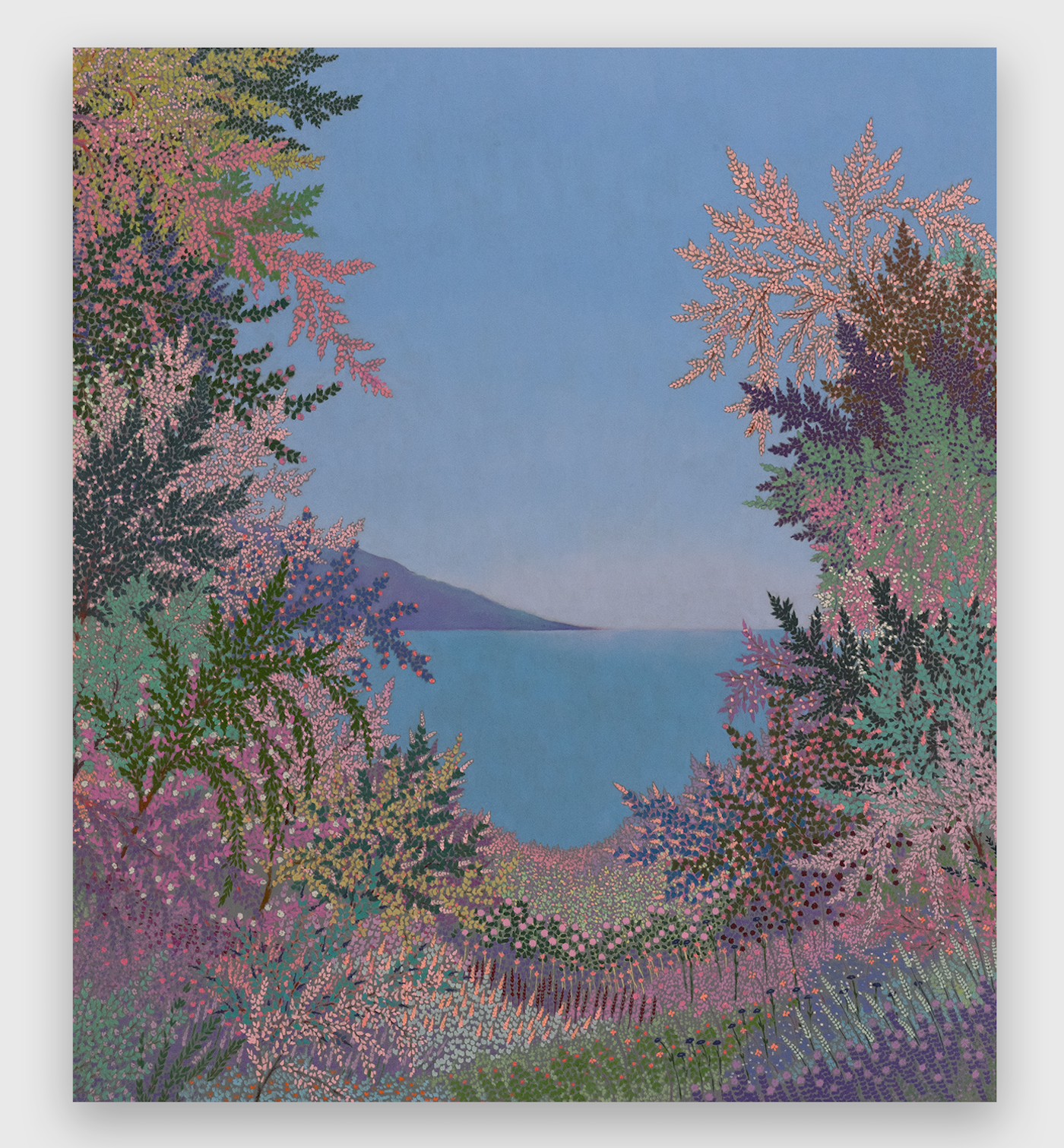 Sun Sundry Beguiles Wild Exhibition by John McAllister