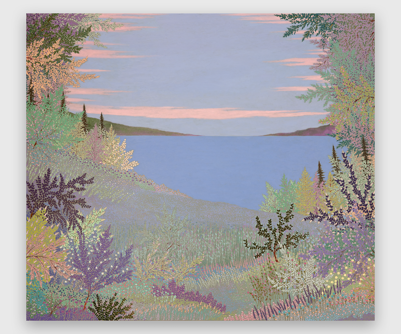 Sun Sundry Beguiles Wild Exhibition by John McAllister