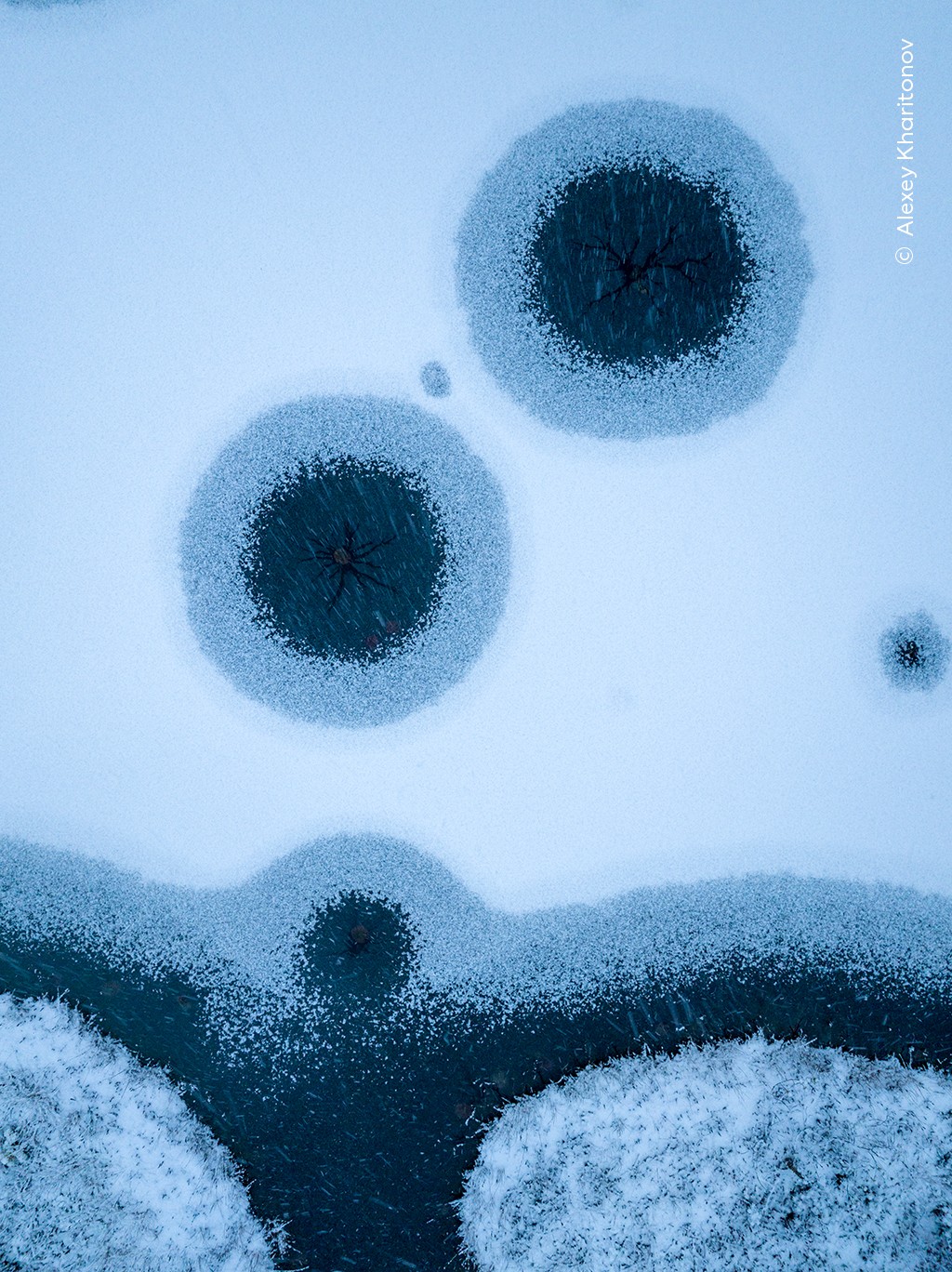 Drone view of marshes of Svetlyachkovskoye Swamp in northwestern Russia