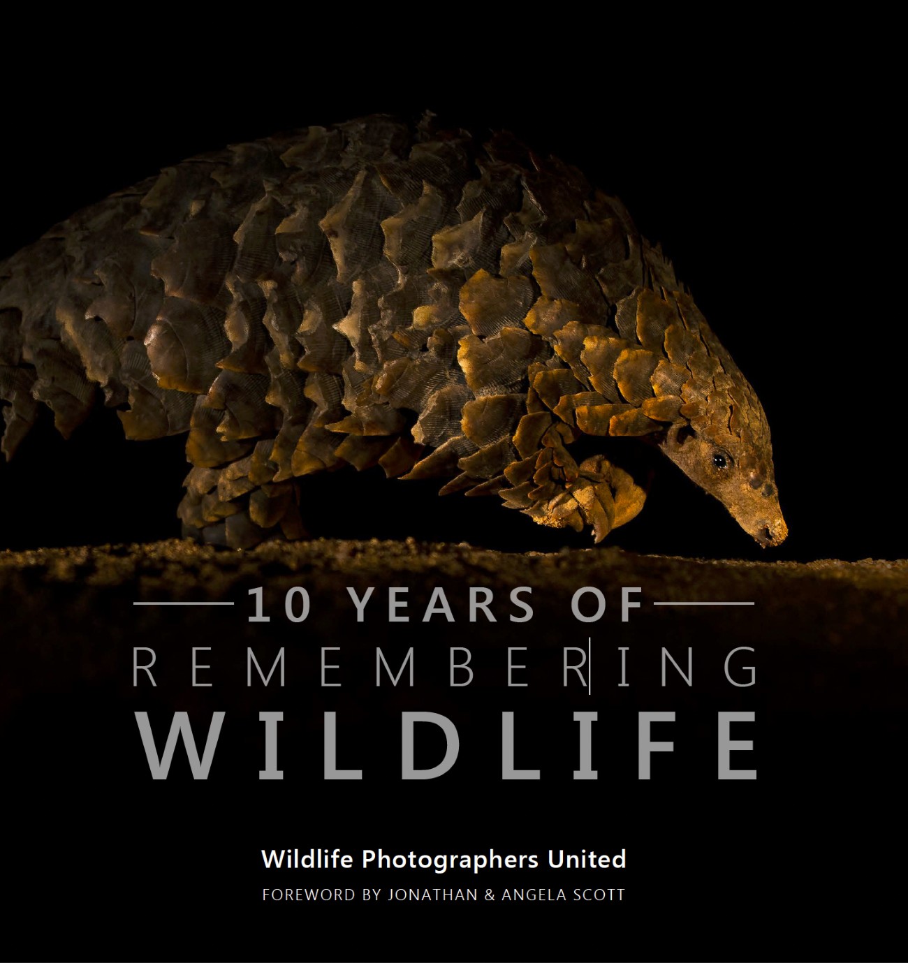 Cover of 10 Years of Remembering Wildlife