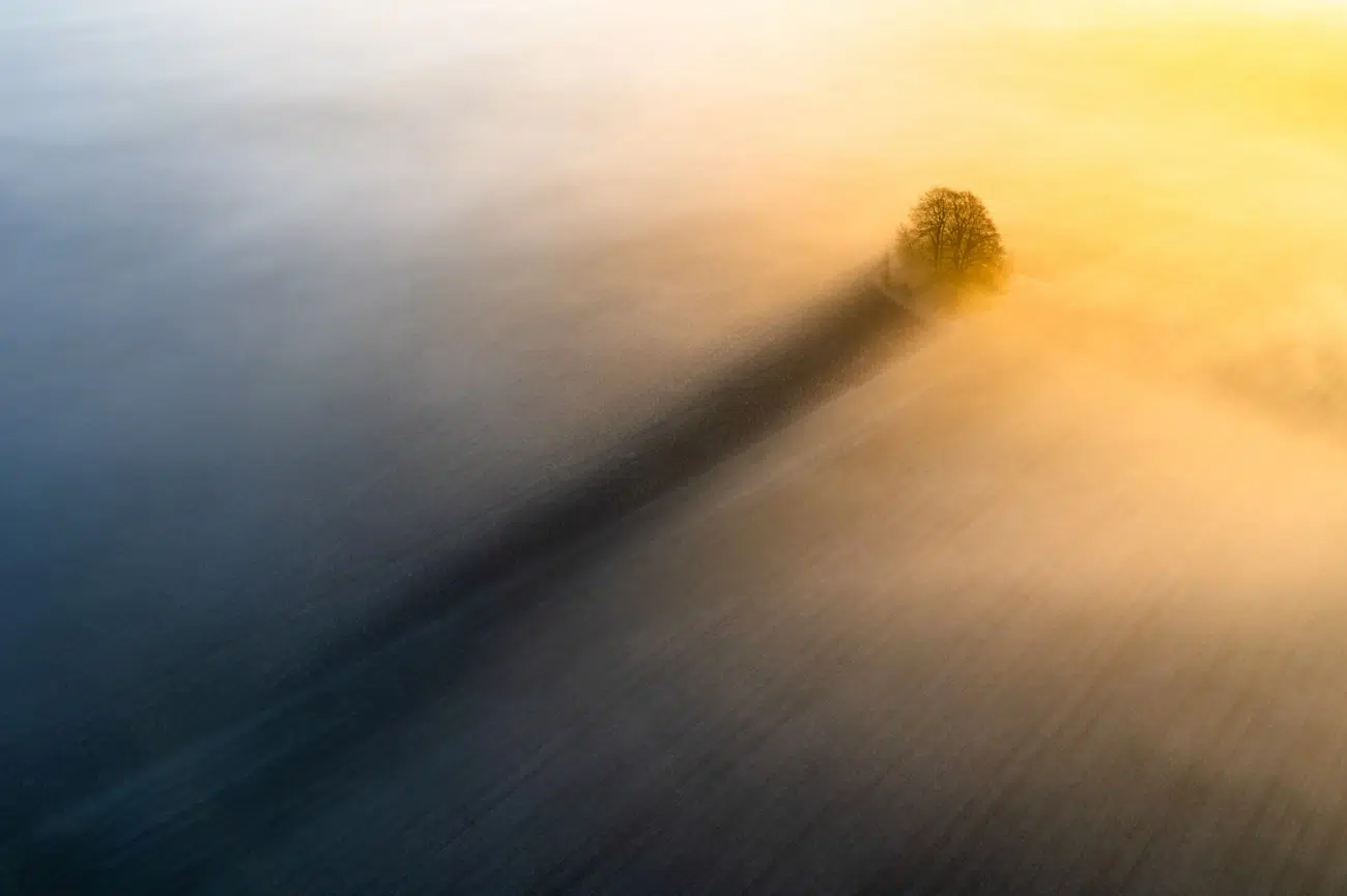 A long shadow behind a small cluster of trees atop an ancient Bronze Age burial mound.