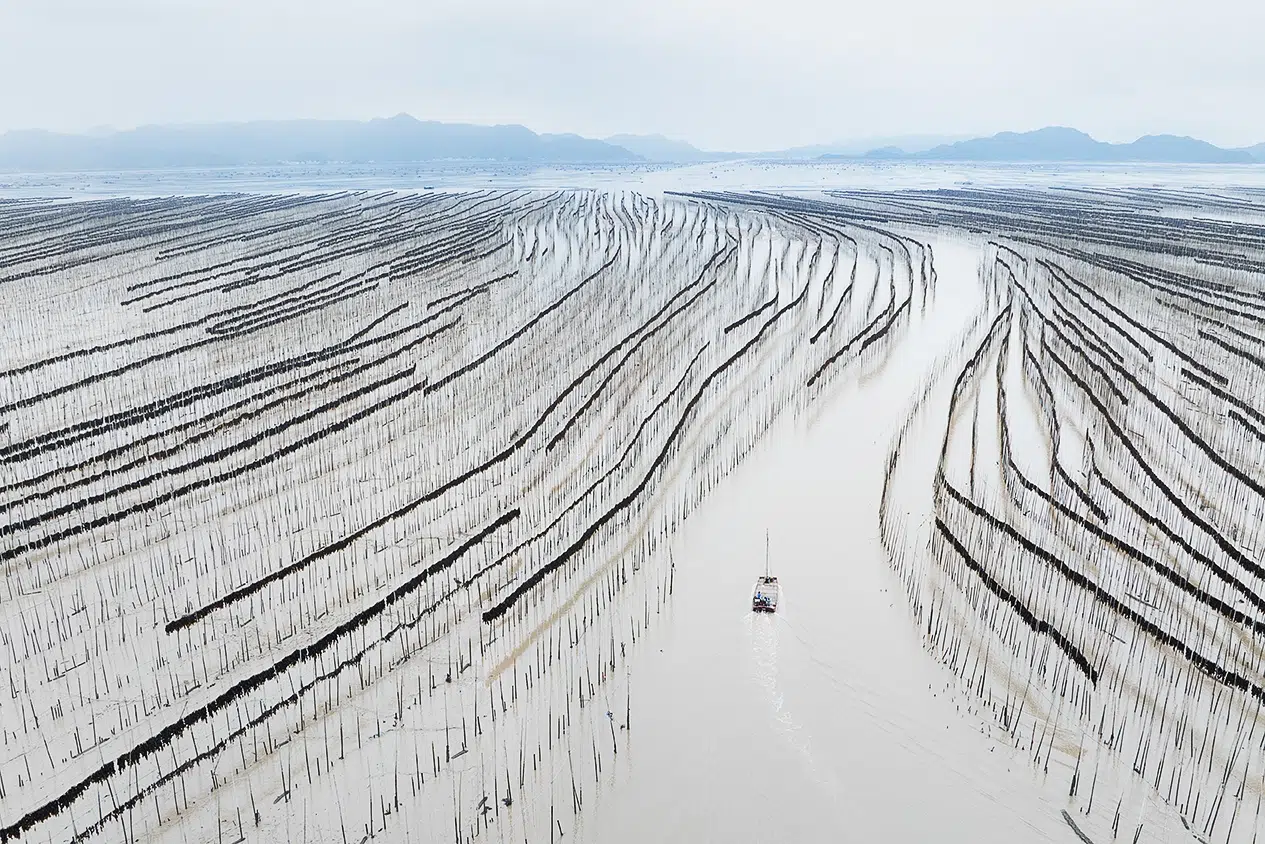 Shajiang village mudflats
