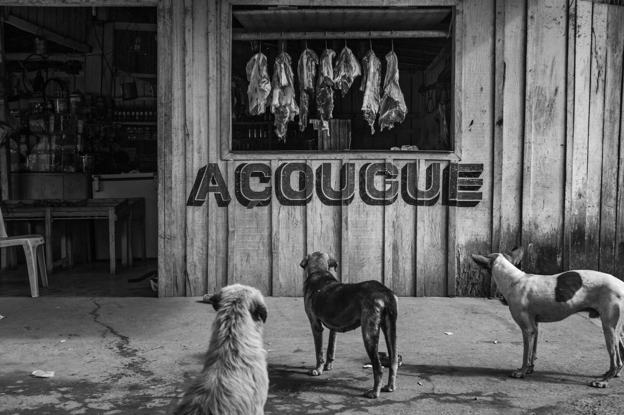 Lalo de Almeida, 2013. Stray dogs stare at a butcher’s in the almost-abandoned Vila da Ressaca, an area previously mined by gold seekers and soon to be explored exclusively by the Canadian mining company Belo Sun.