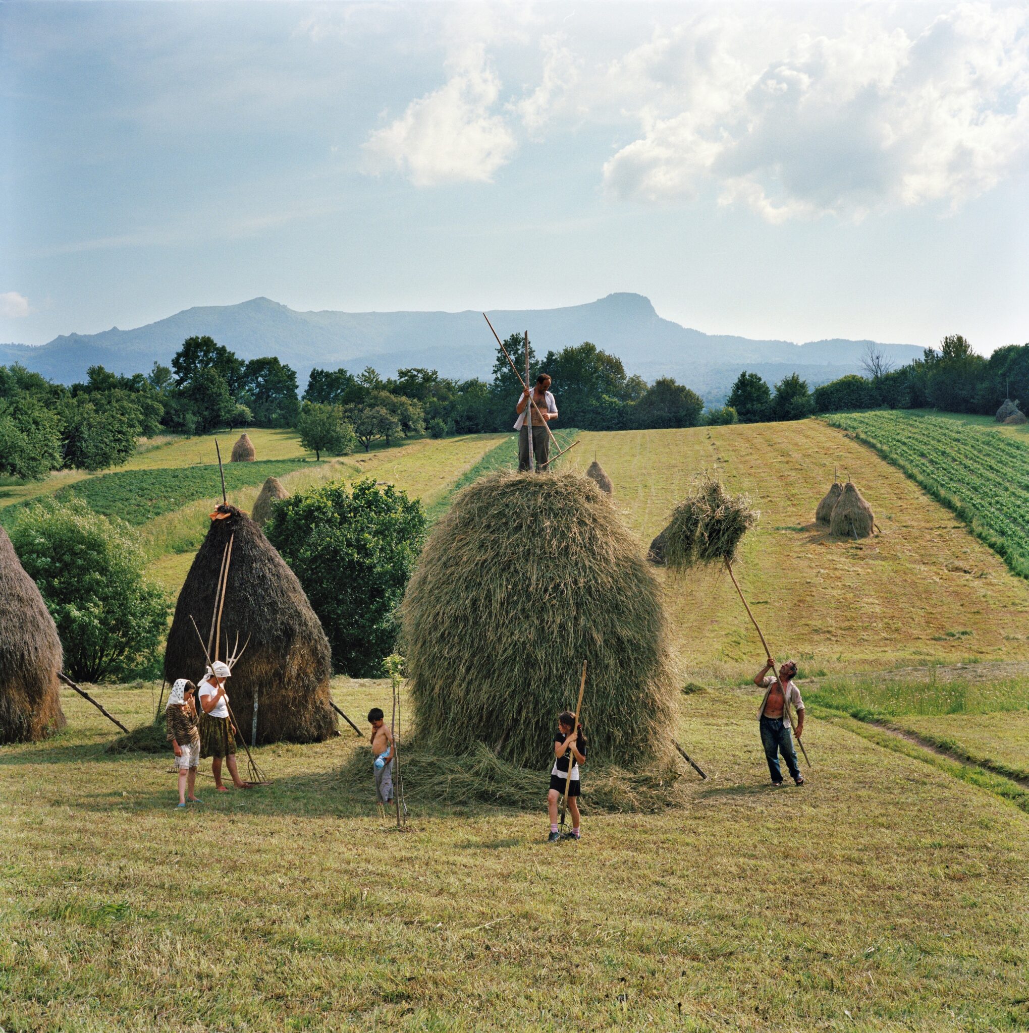 Rena Effendi, 2012. The whole Borca family, from Breb, Romania, puts finishing touches on one of the 40 haystacks it makes each summer.
