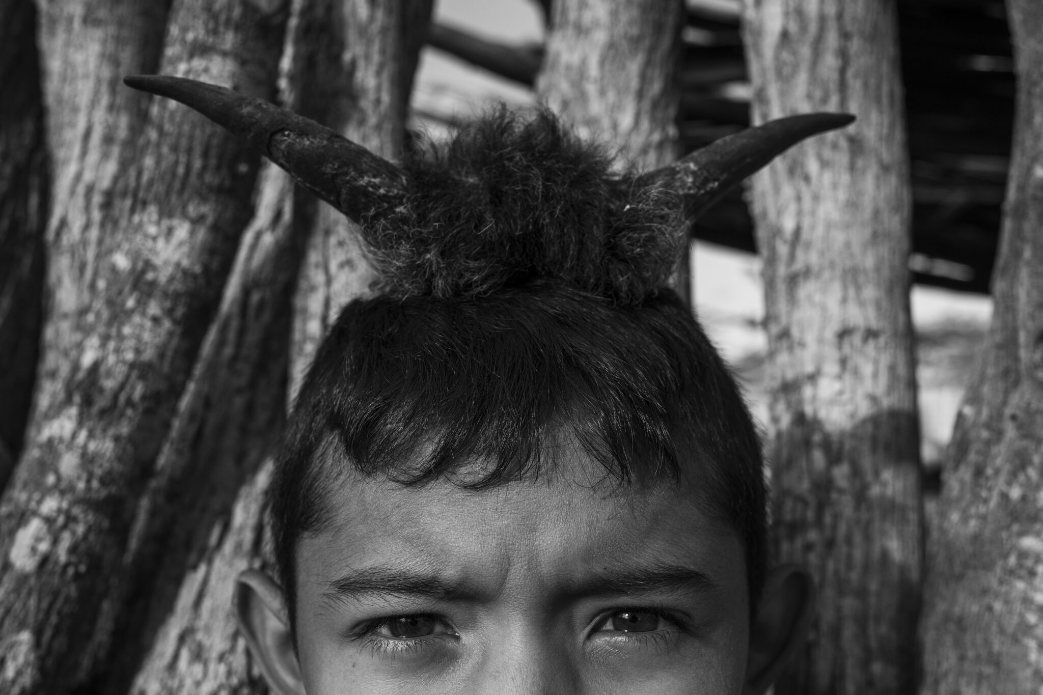 Fernanda Pineda, 2024. During the early morning vigils in Guajira, Colombia, goats are distributed for the meal. Once sacrificed, the children play with the horns, pretending to be goats.