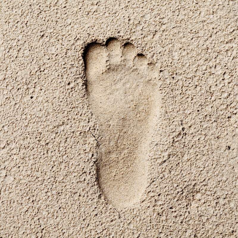 Archaeologists discover 300,000 year old footprints in Lower Saxony