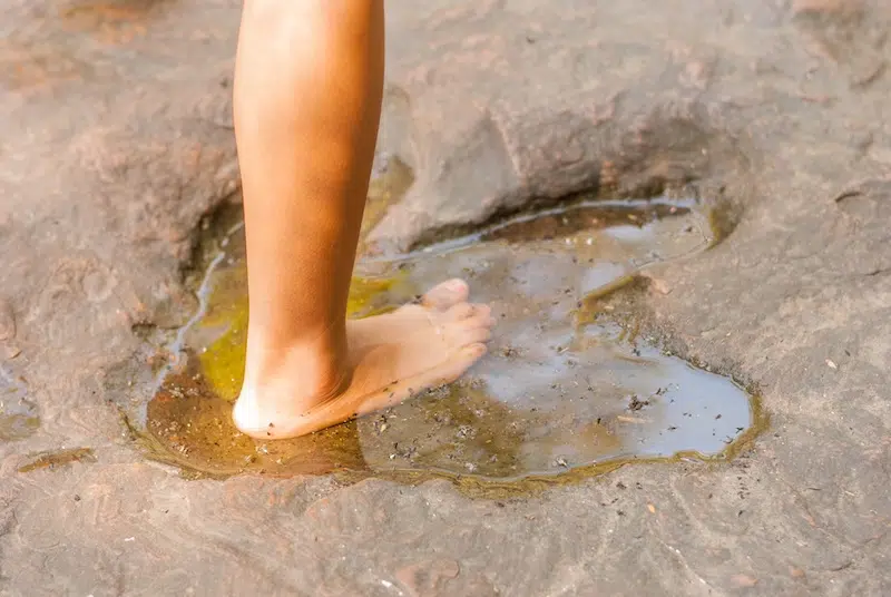 Archaeologists discover 300,000 year old footprints in Lower Saxony