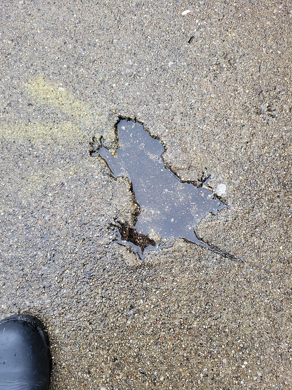 The original photo of the Chicago rat hole that triggered its virality, as taken by Winslow Dumaine.