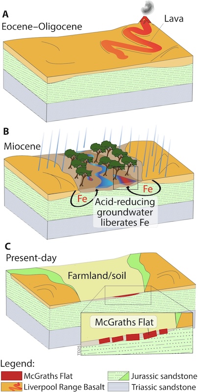 red rock fossils in Australia are exceptionally detailed