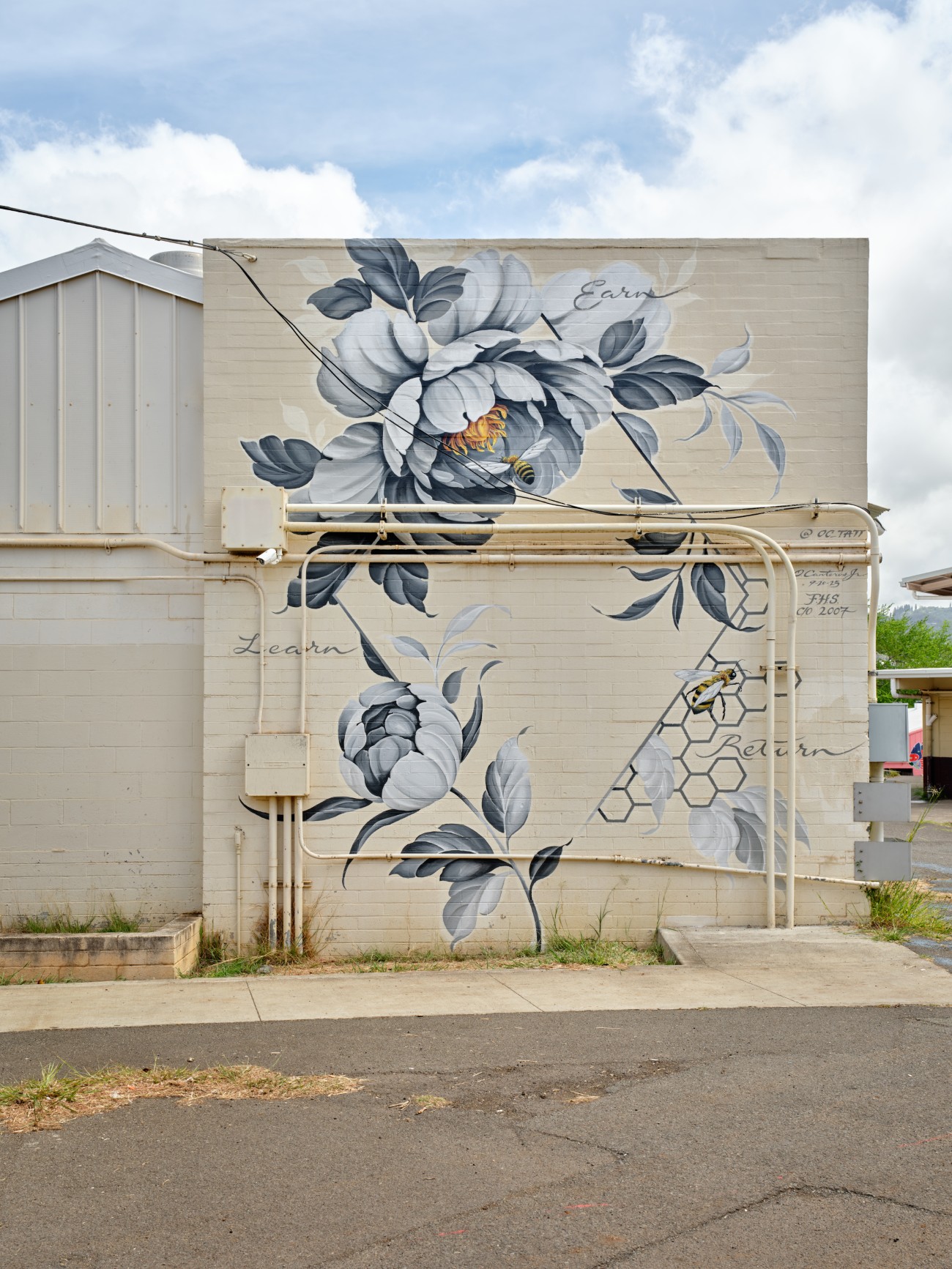 Oscar Canteros Jr. at Hawaii Walls