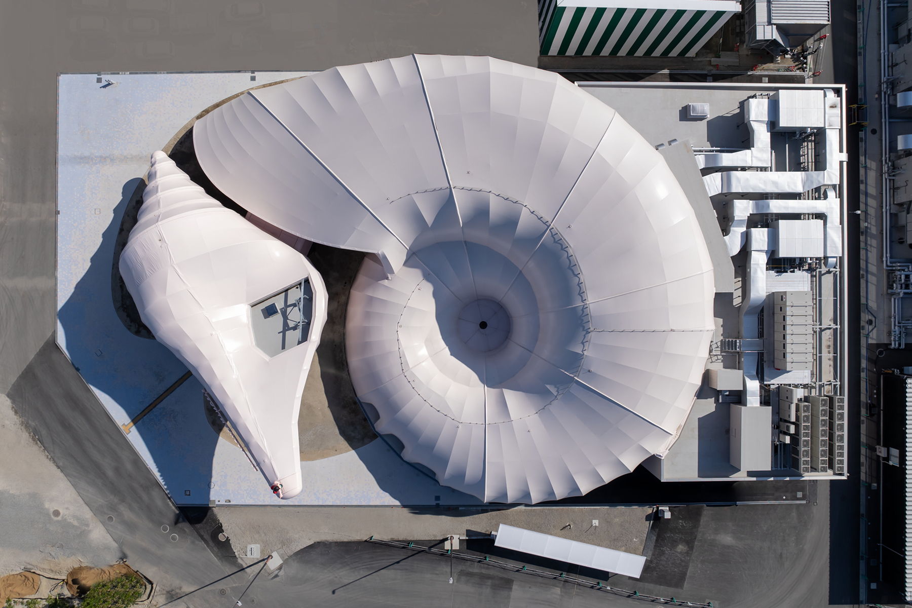 Pasona Natureverse Pavilion at the 2025 Osaka World Expo. The structure resembles a monumental seashell.