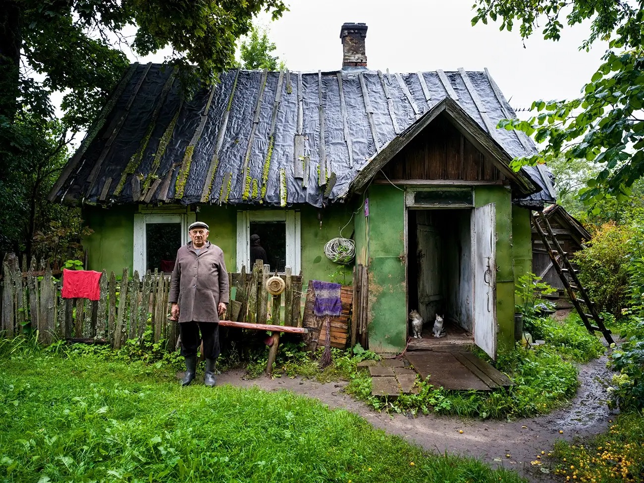 AAP Magazine Colors Photo Contest