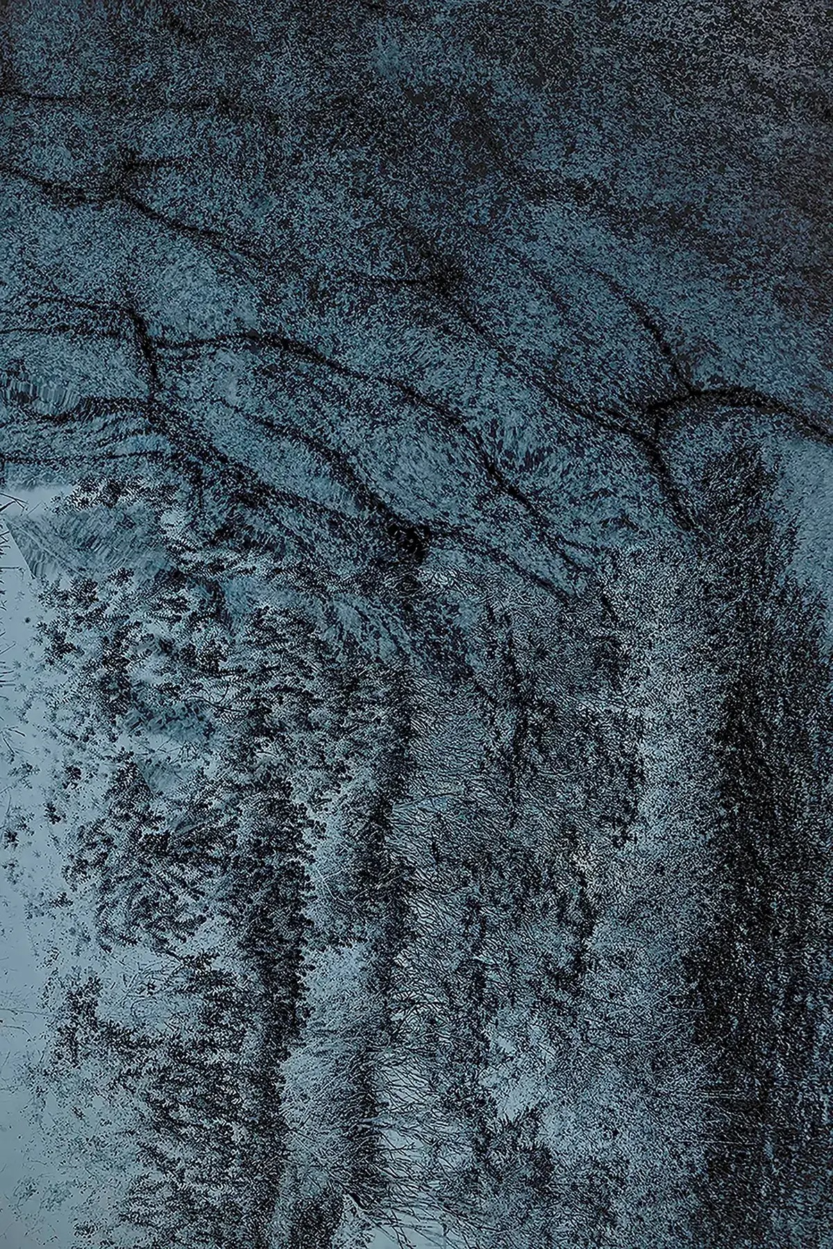 AAP Magazine Colors Photo Contest