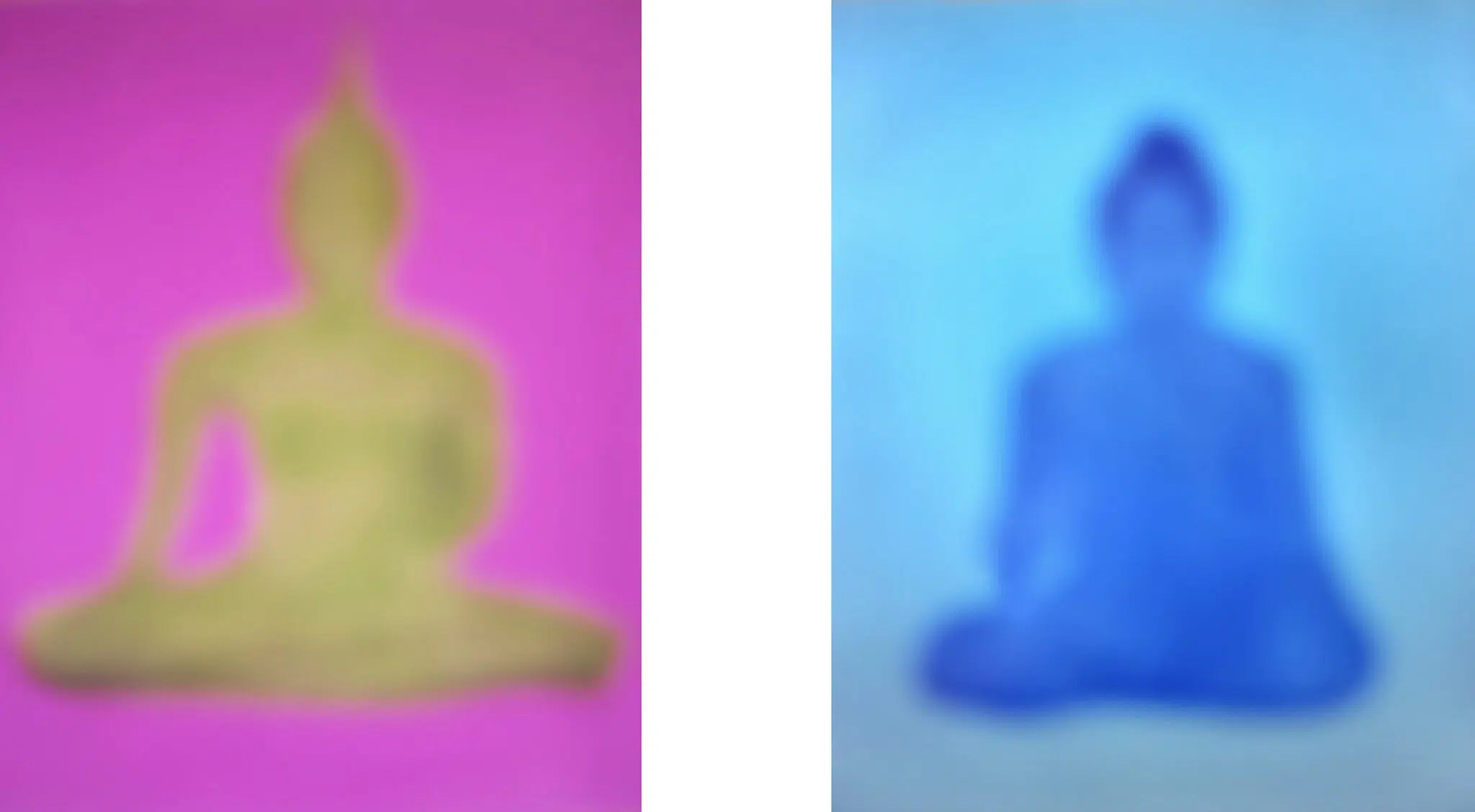 Spread of blurred photographs included in Bill Armstrong's "All a Blur"