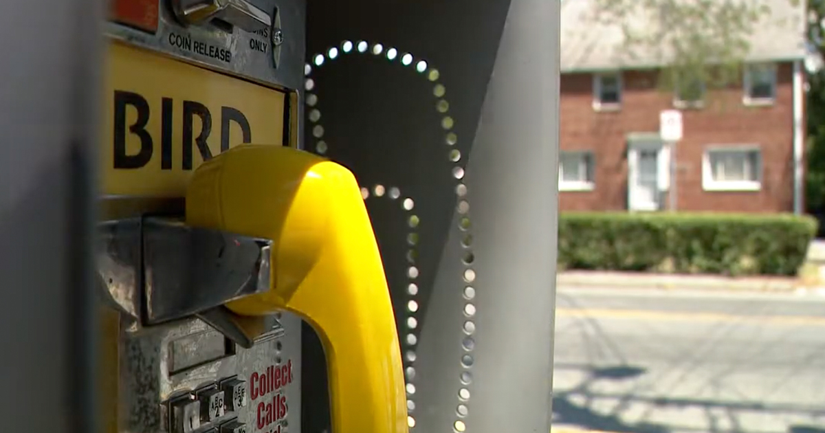 Composer Rewired an Old Pay Phone To Play Local Bird Sounds