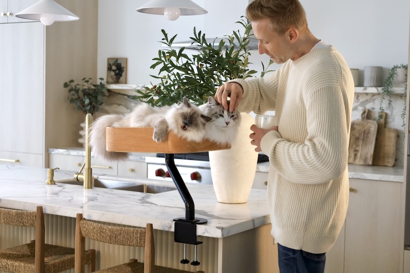 Ergo Purrch Cat Furniture