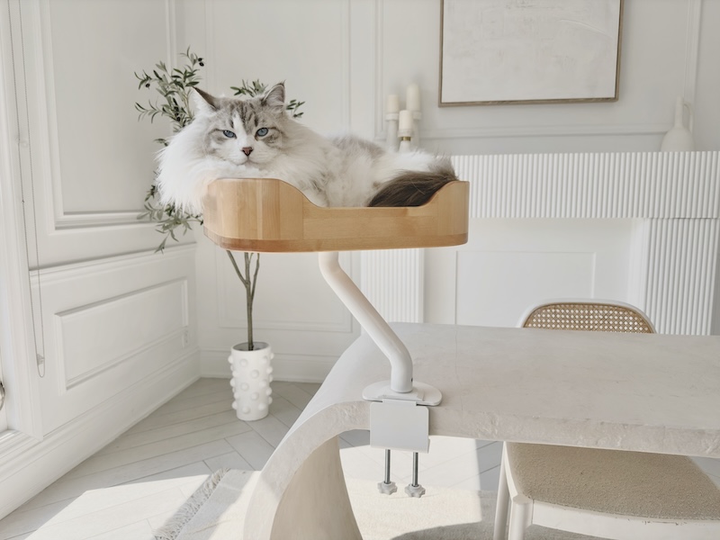 Ergo Purrch Cat Furniture