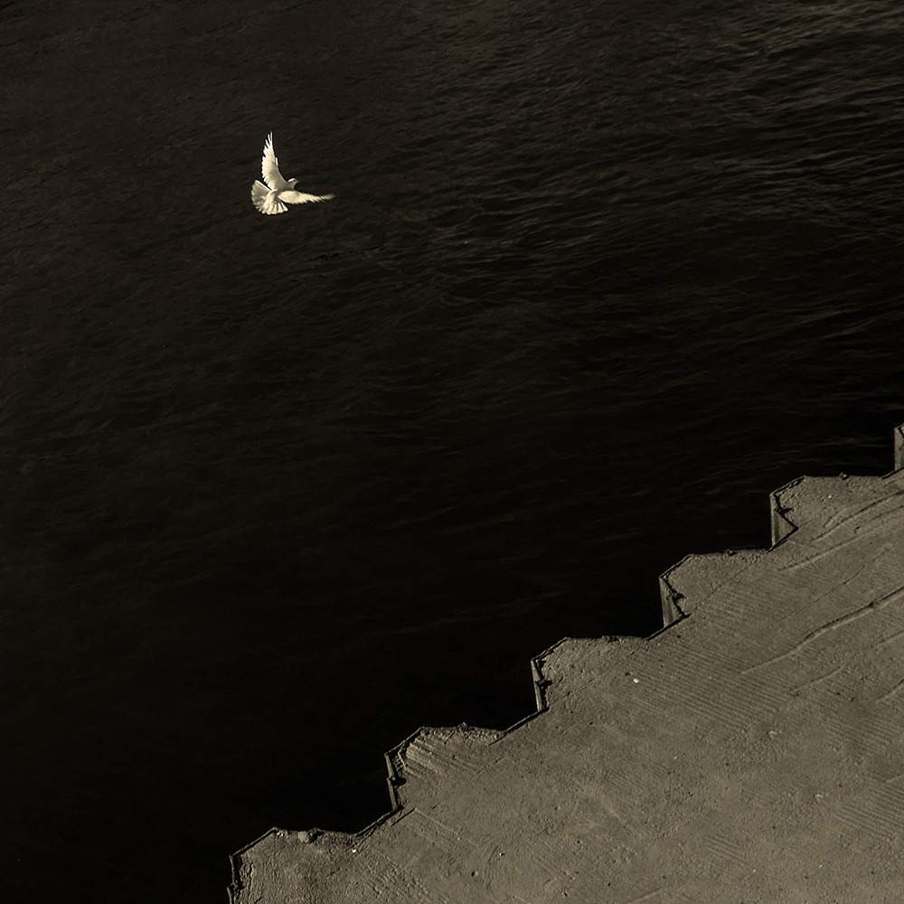 Murmures de l'âme by Marie Sueur