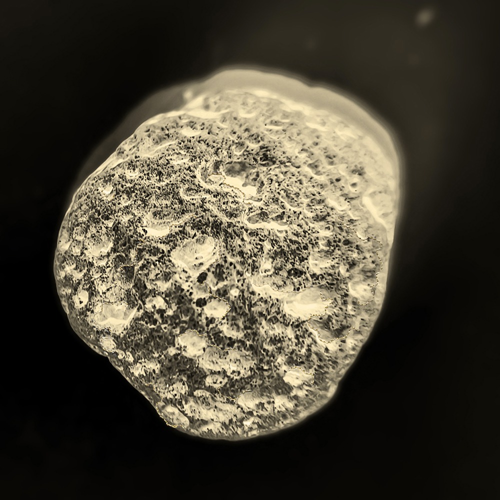 Murmures de l'âme by Marie Sueur