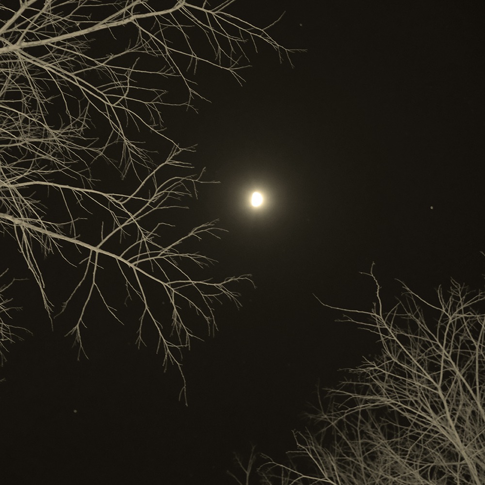 Murmures de l'âme by Marie Sueur