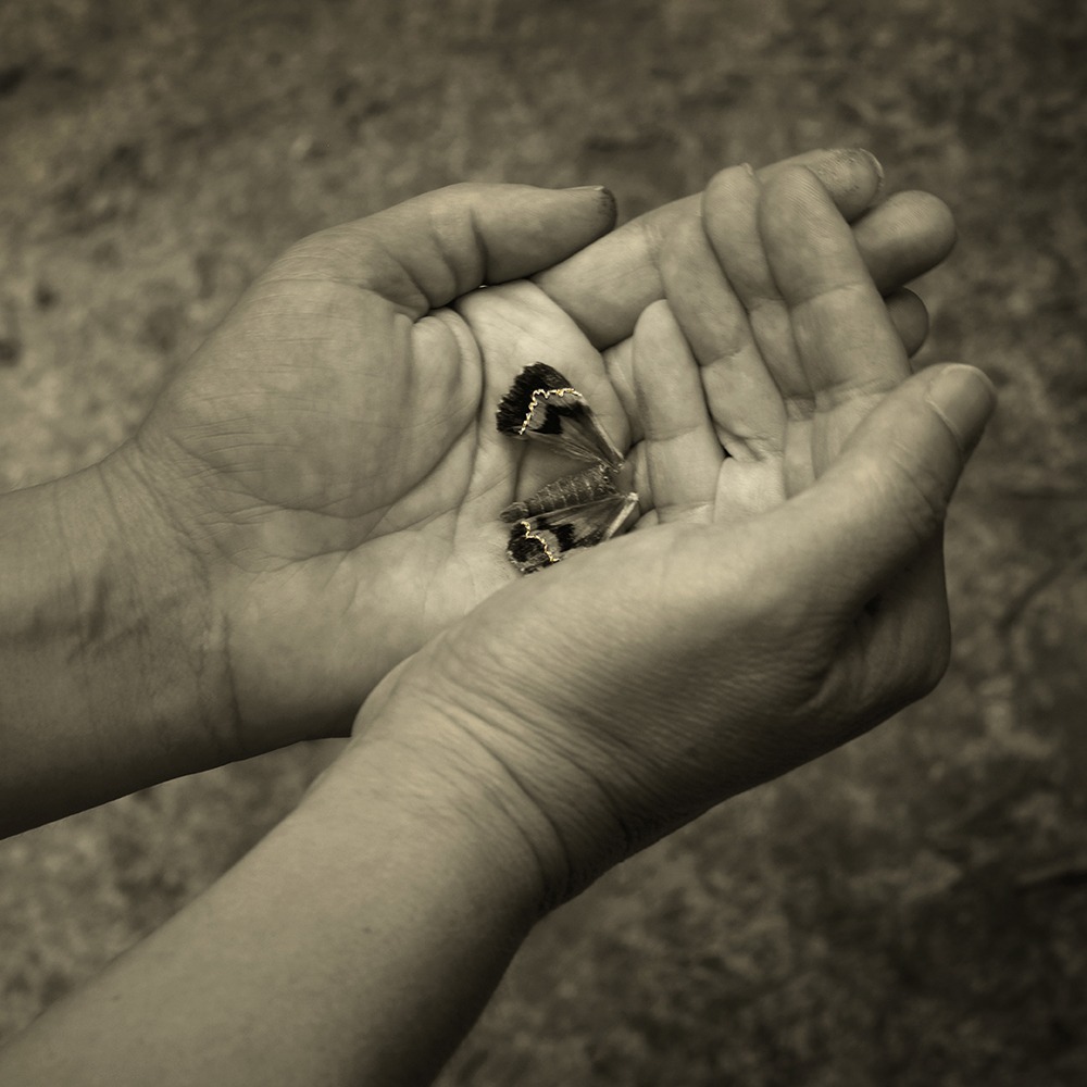 Murmures de l'âme by Marie Sueur