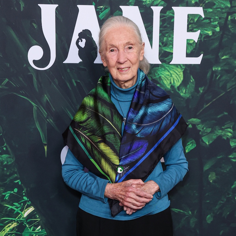 Jane Goodall
