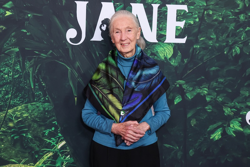 Jane Goodall