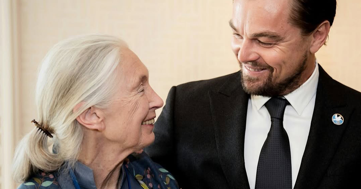 Celebrities and Politicians Remember Jane Goodall’s Remarkable Legacy