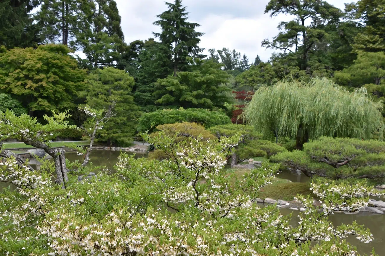 Seattle Japanese Garden