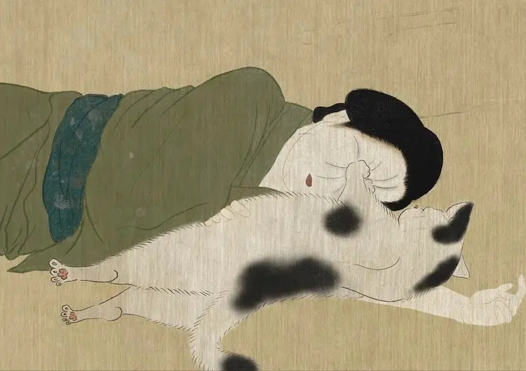 Nihonga-Style Cat Paintings by Poshichi