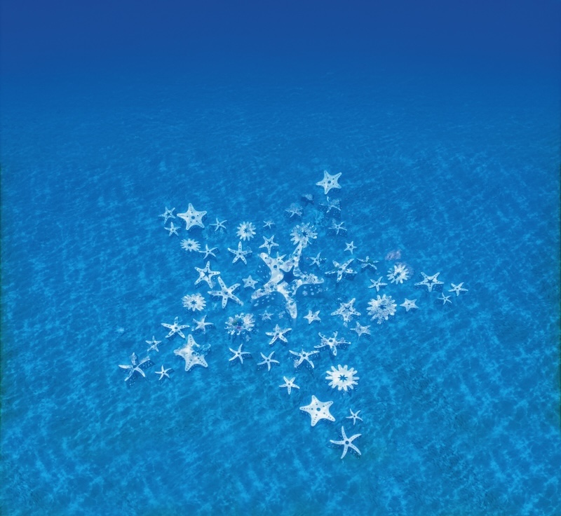 Reefline Installation in Miami