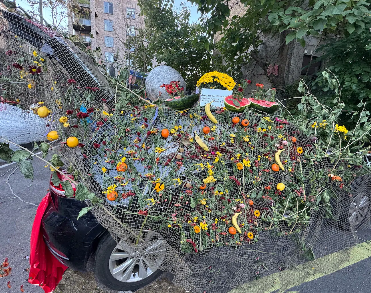 Amy Khoshbin, "Atlars to Agency."