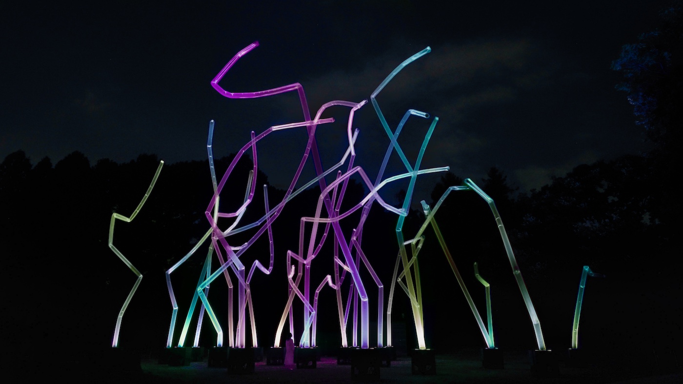 teamLab Botanical Garden Osaka