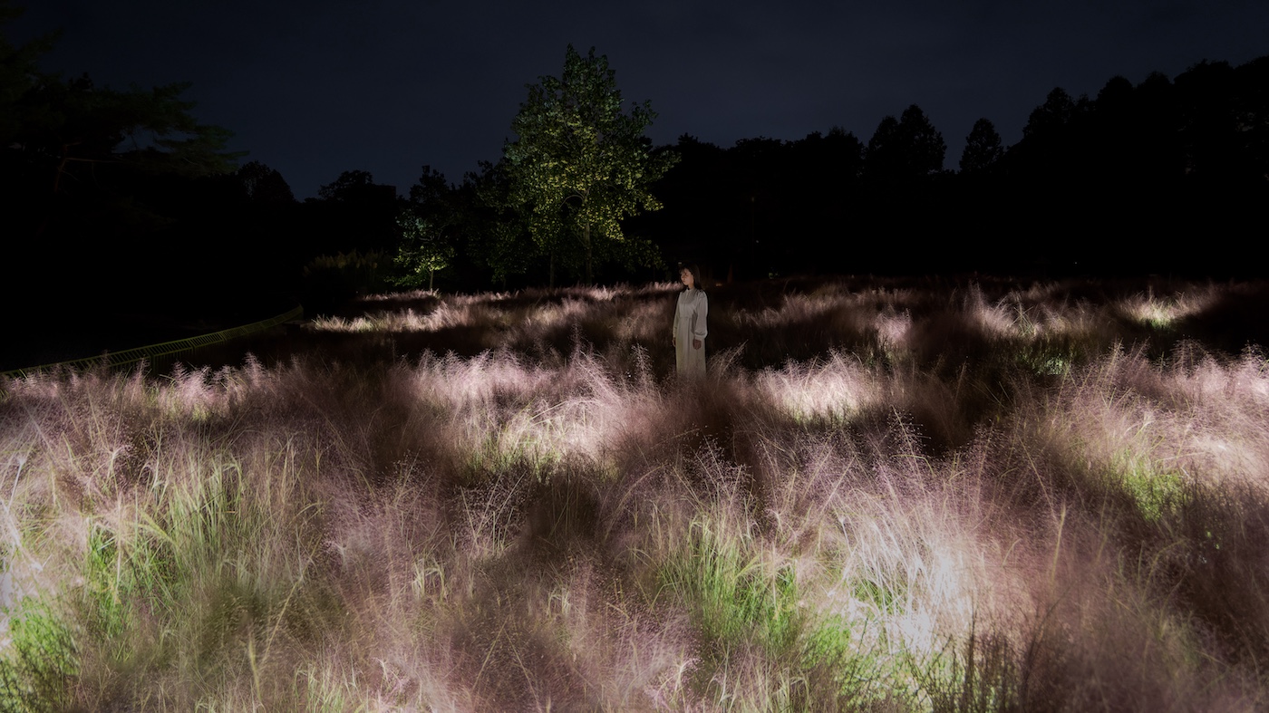teamLab Botanical Garden Osaka