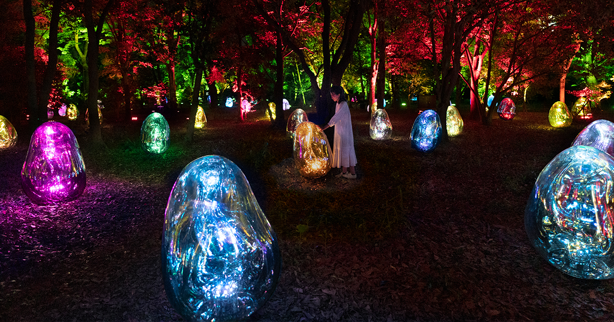 teamLab Transforms Osaka’s Botanical Garden Into a Living Work of Art at Night