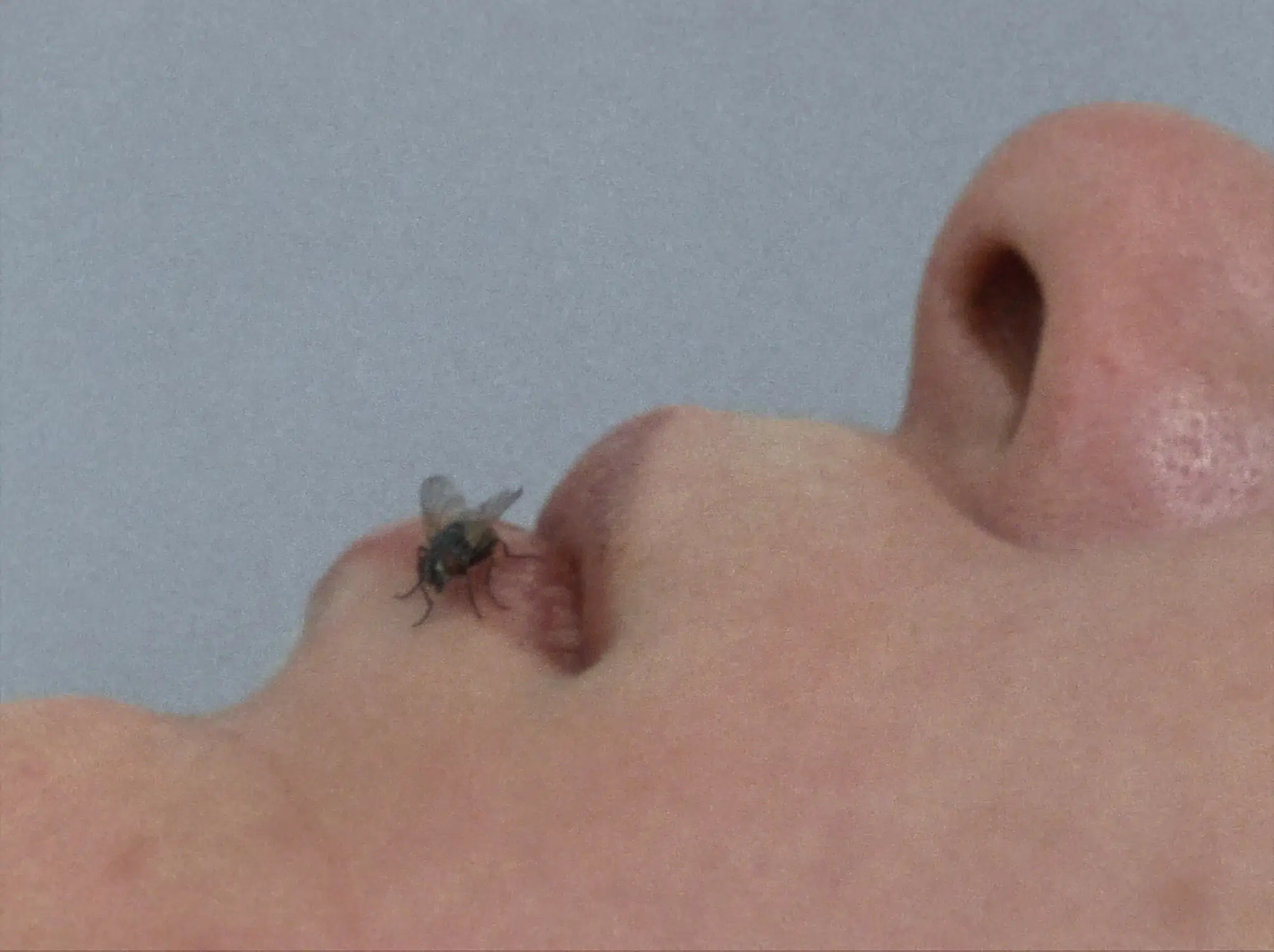 Yoko Ono, “FLY” (still), 1970–71. 16 mm film (color, mono sound).