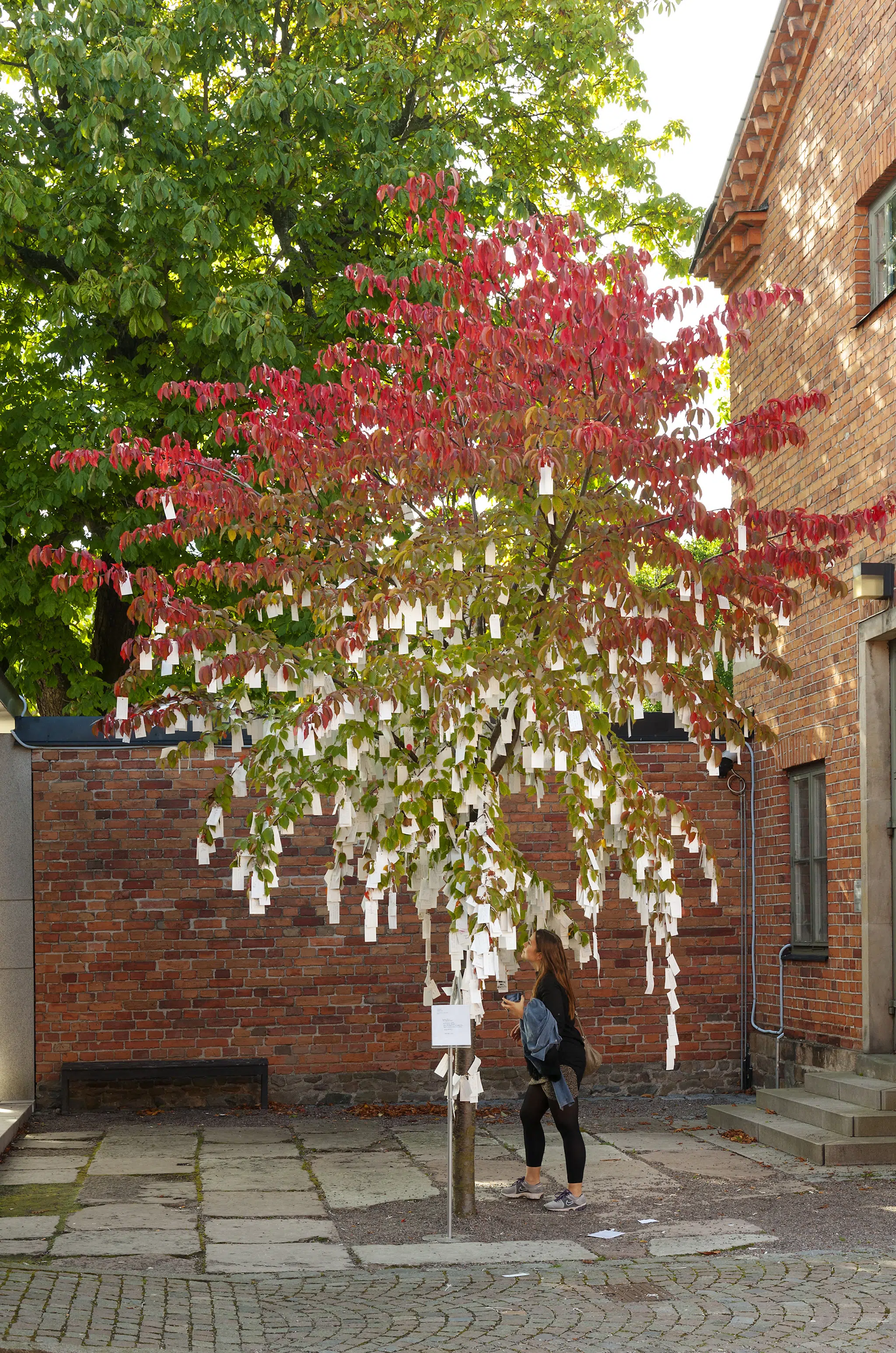 “Wish Tree for Stockholm,” 1996/2012. Installation view of “Yoko Ono: Grapefruit,” at Moderna Museet, Stockholm, 2012. (Photo: Åsa Lund)