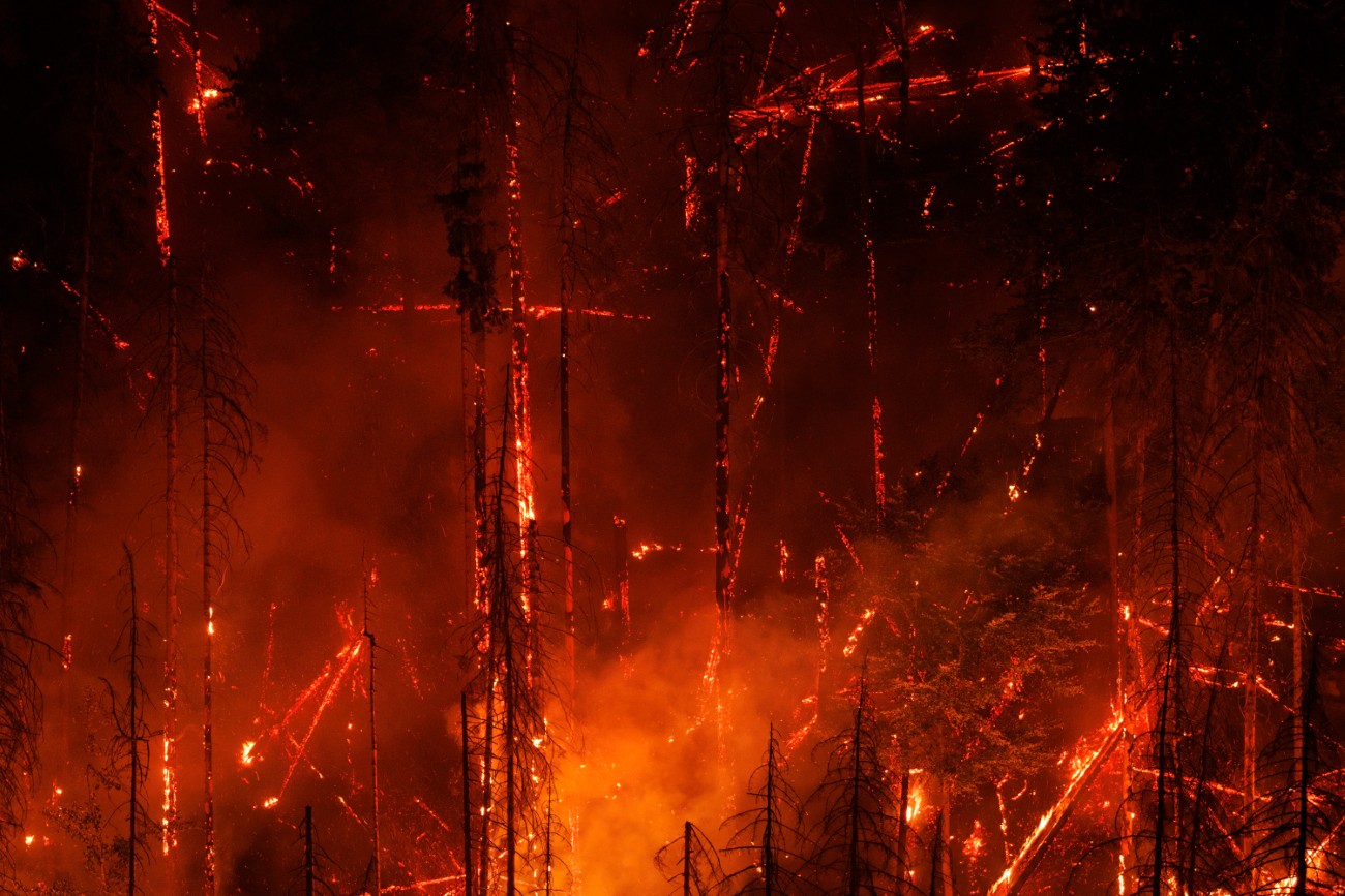 엘베 사암 산맥의 타오르는 불꽃, 빛나는 나무 줄기, 빛나는 연기 기둥
