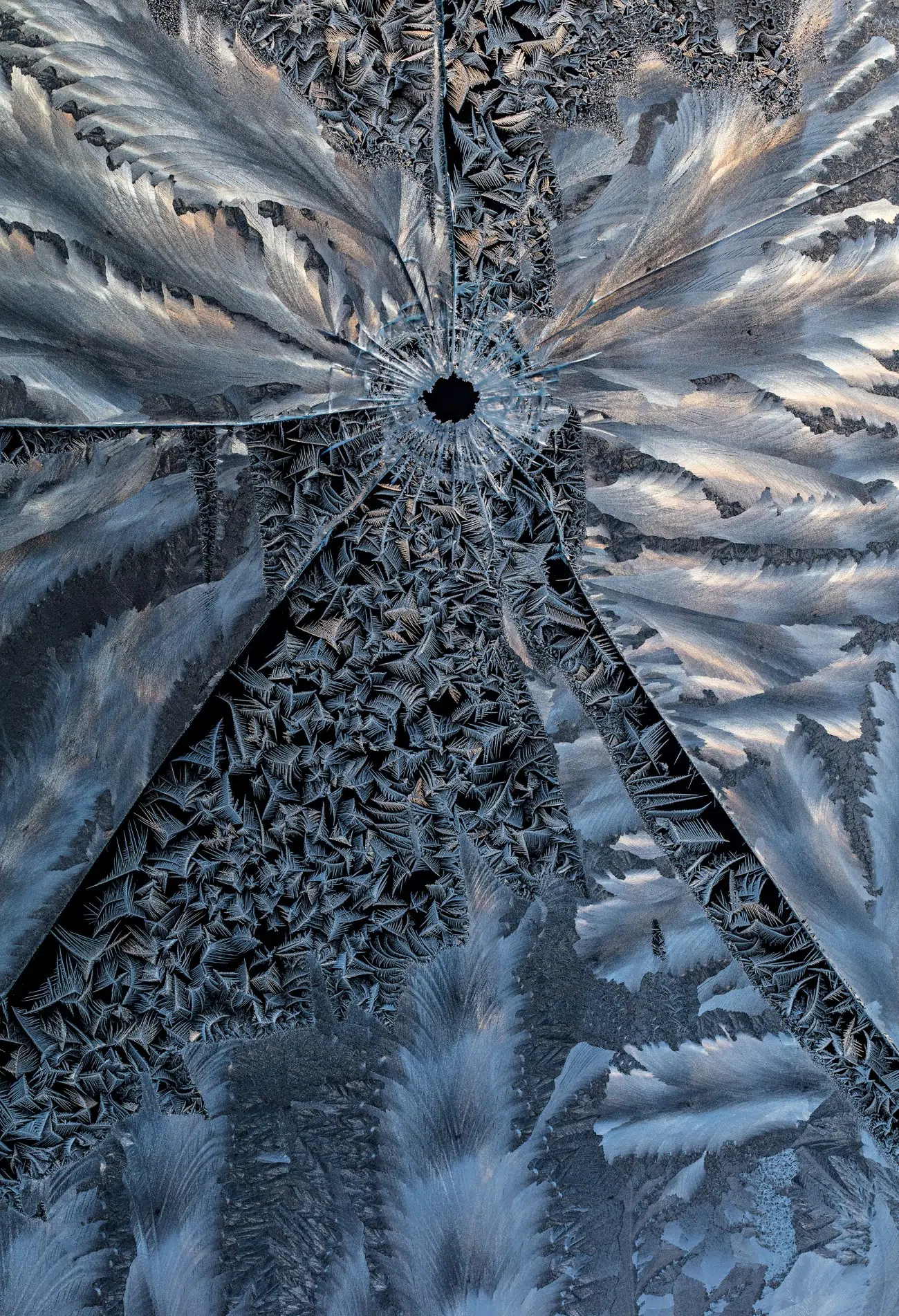 총알 구멍 주위에 서리가 결정화됨