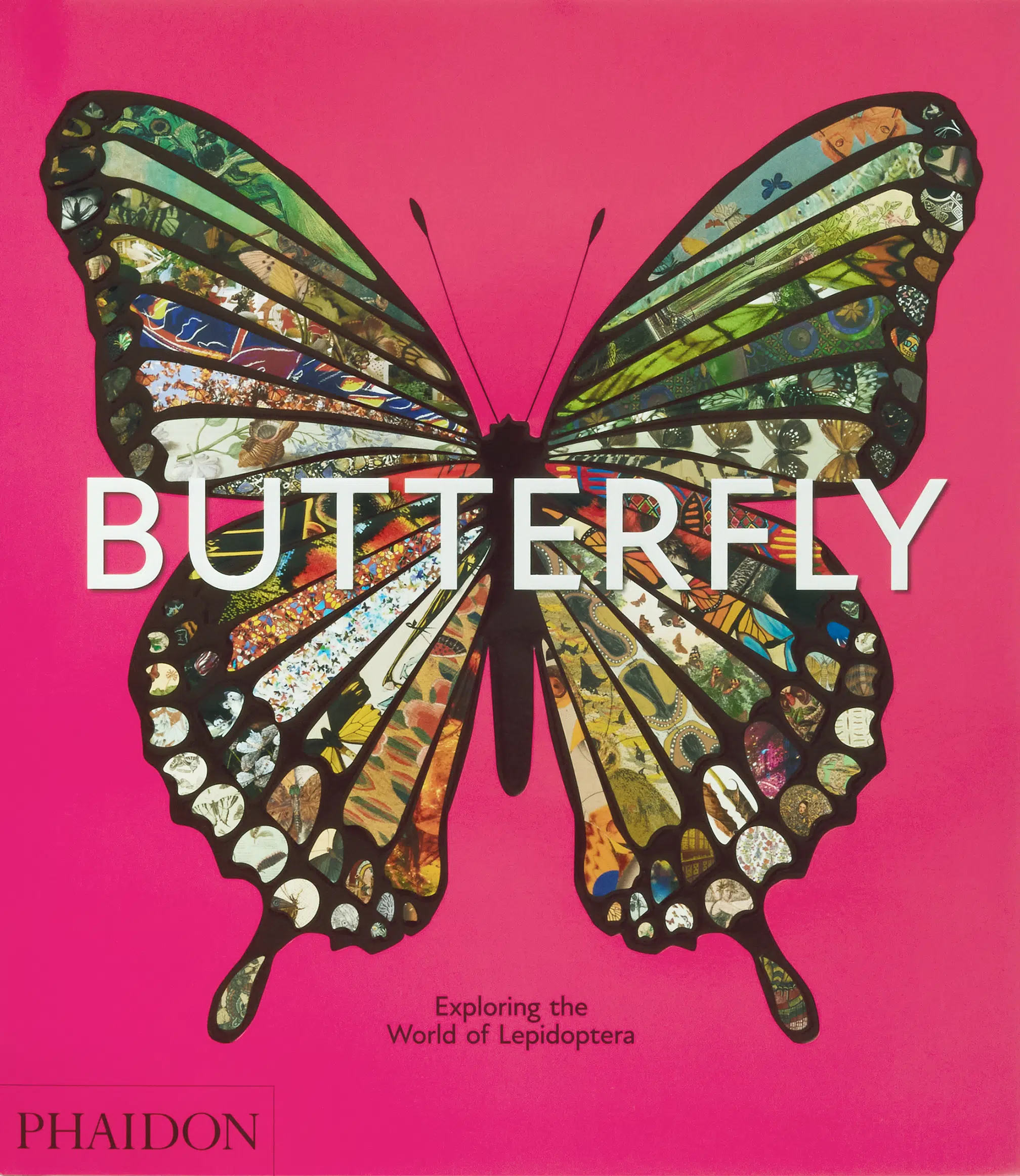 “Butterfly,” Phaidon.