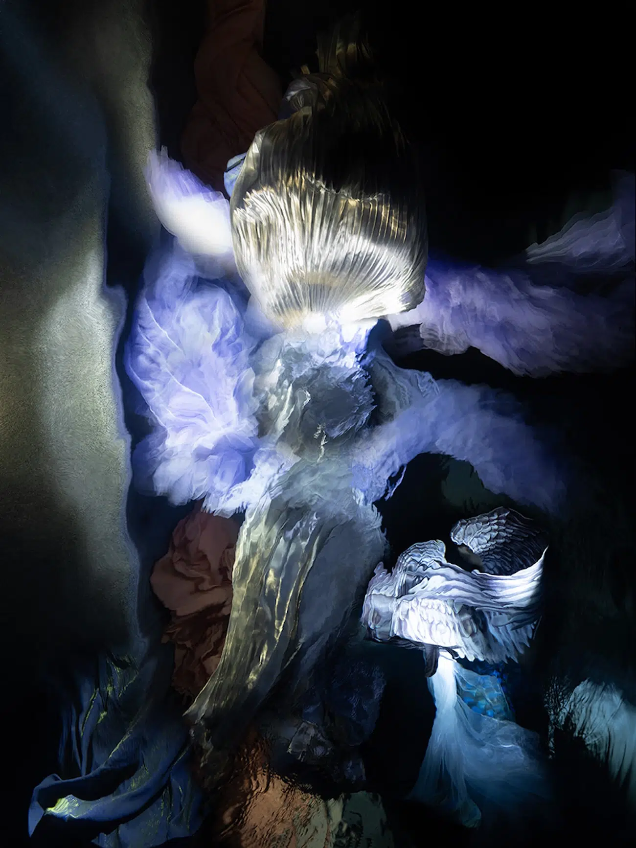 Underwater Photography by Christy Lee Rogers